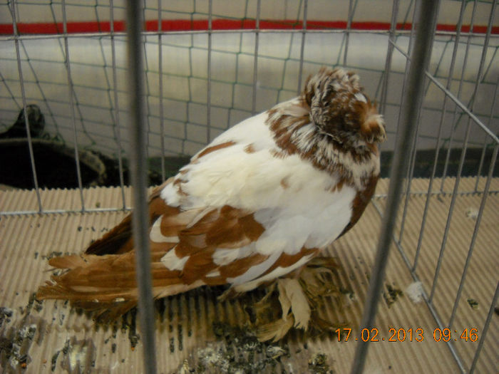 My pictures 129