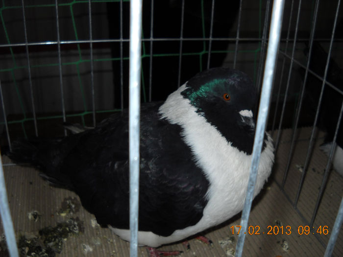My pictures 134