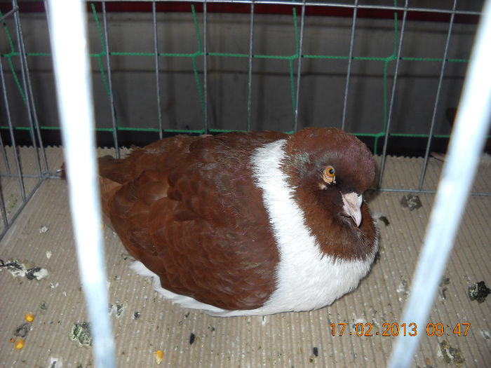 My pictures 135