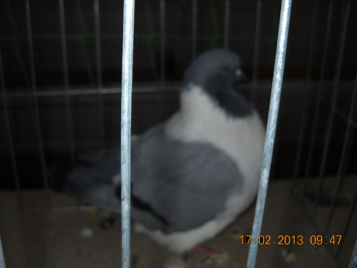 My pictures 136