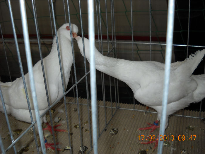 My pictures 140
