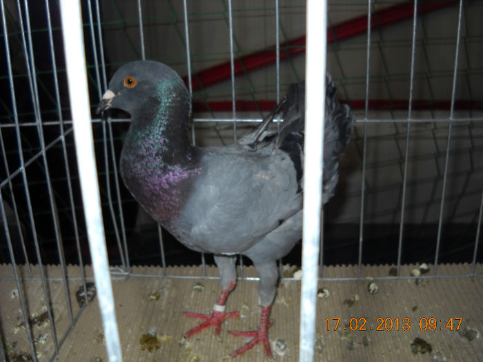 My pictures 141