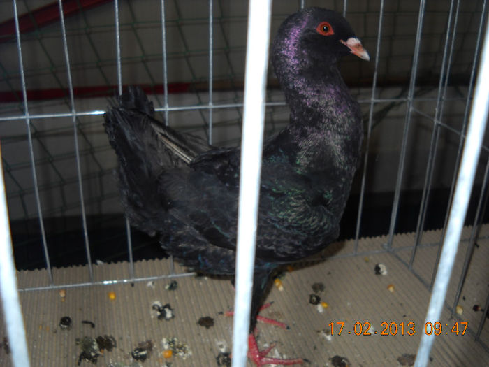 My pictures 142