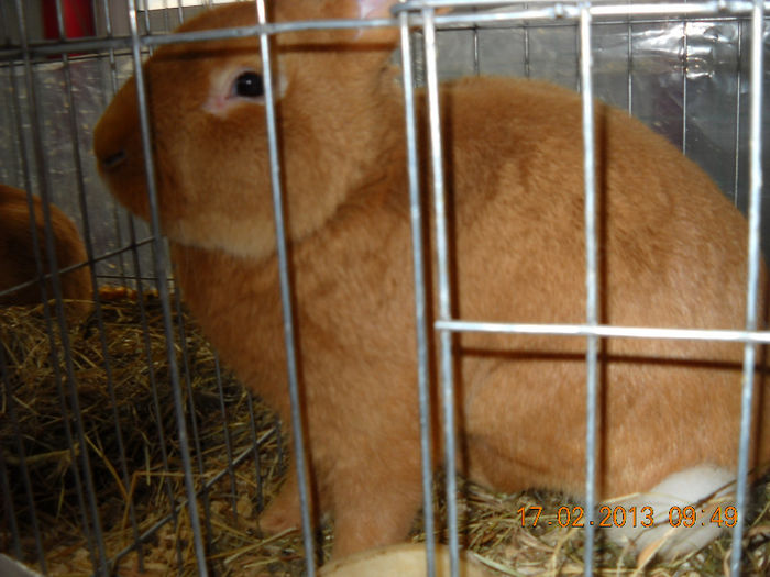My pictures 146
