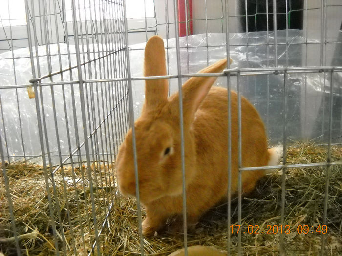 My pictures 147