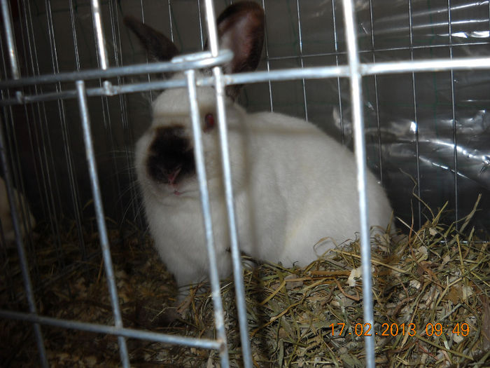 My pictures 152