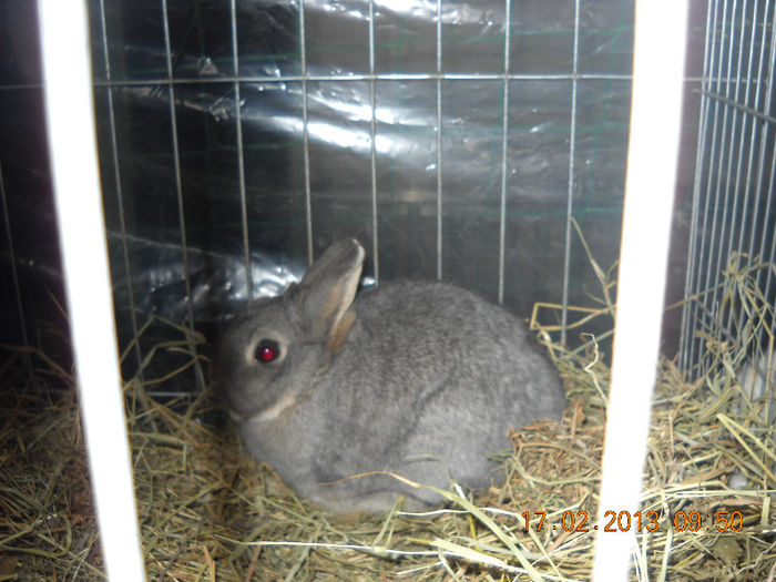My pictures 154