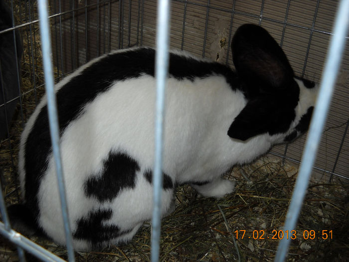 My pictures 164