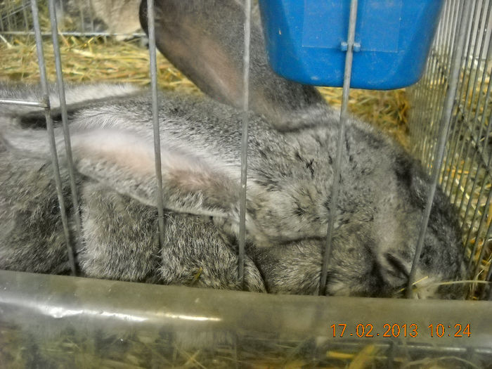 My pictures 166