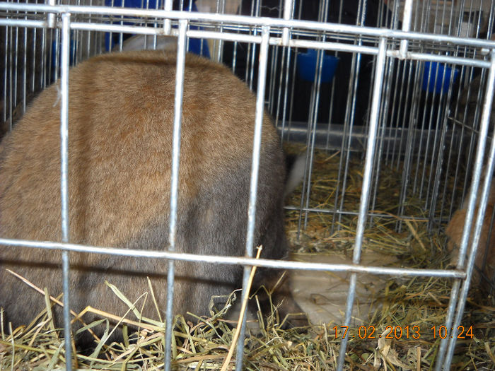 My pictures 167