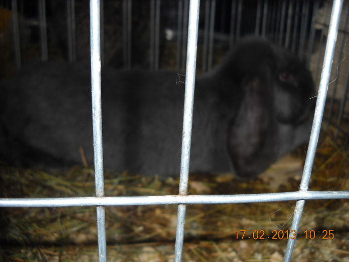 My pictures 170