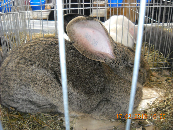 My pictures 171