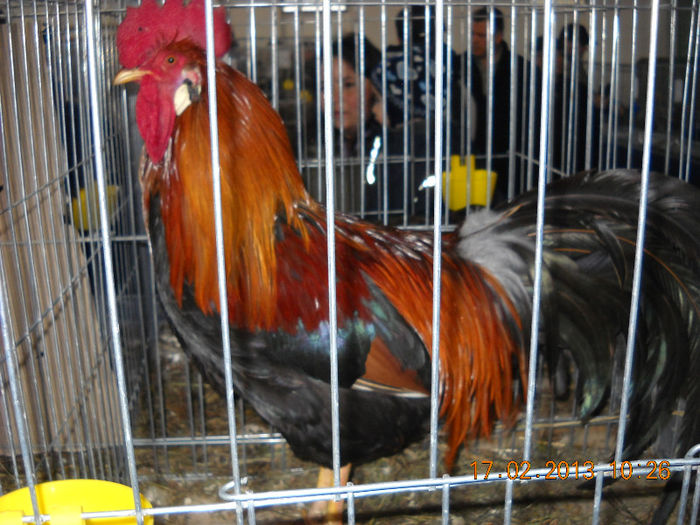 My pictures 173