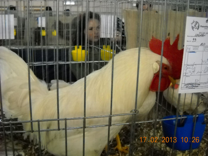 My pictures 174