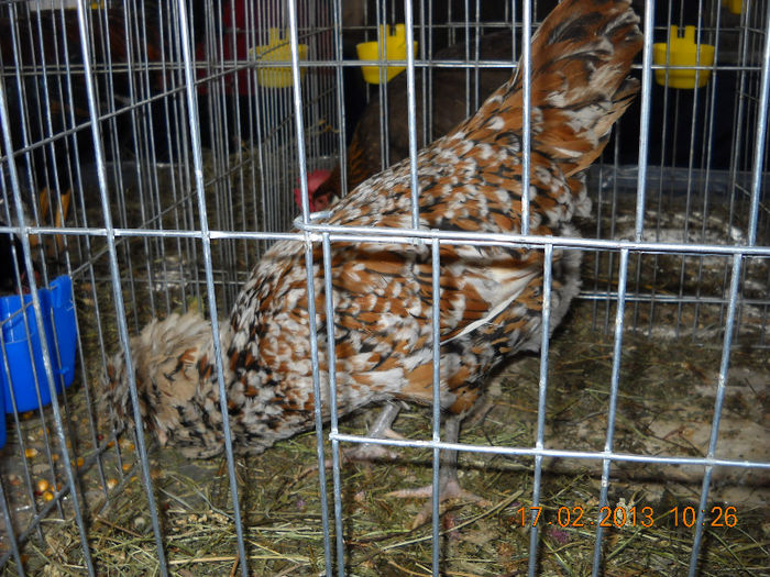 My pictures 176