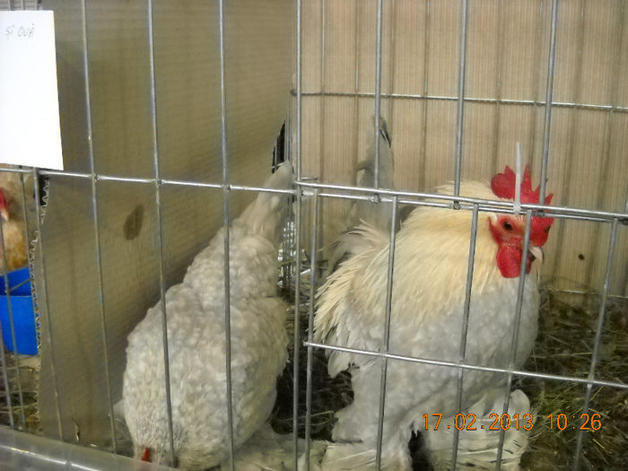 My pictures 178