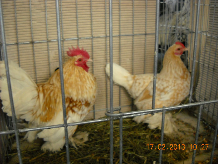 My pictures 179