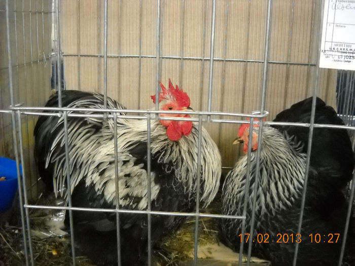 My pictures 181