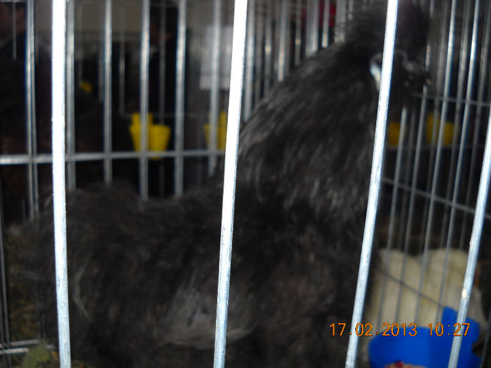 My pictures 183