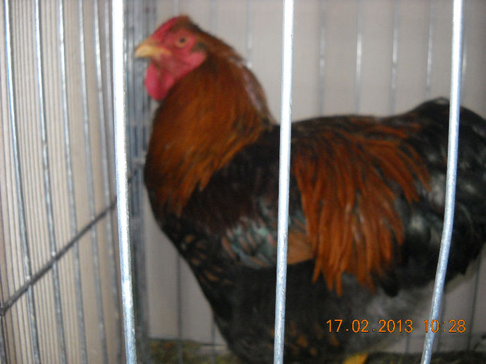 My pictures 186