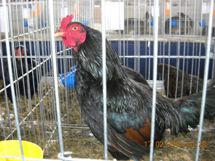 My pictures 187