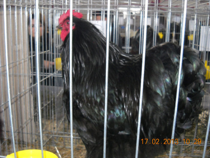 My pictures 193