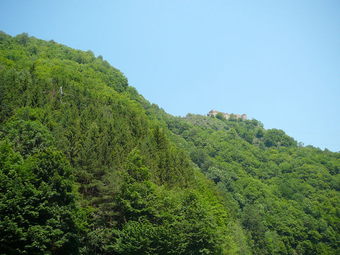 P1400426