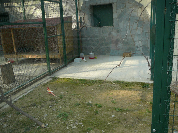 P1400583 - 2012 - Excursie_9_iunie