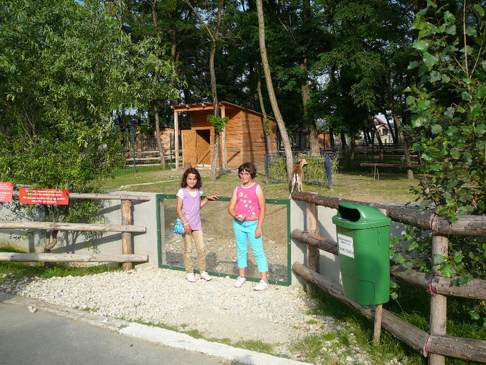 P1400587