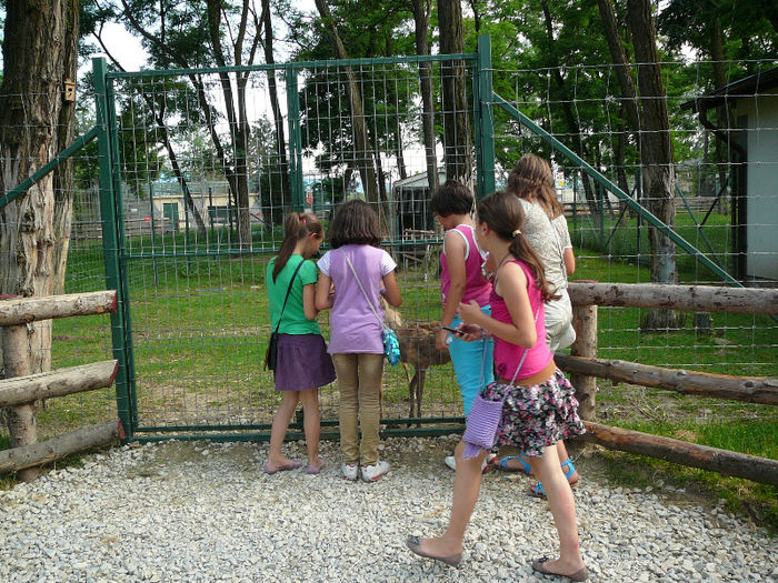 P1400590 - 2012 - Excursie_9_iunie