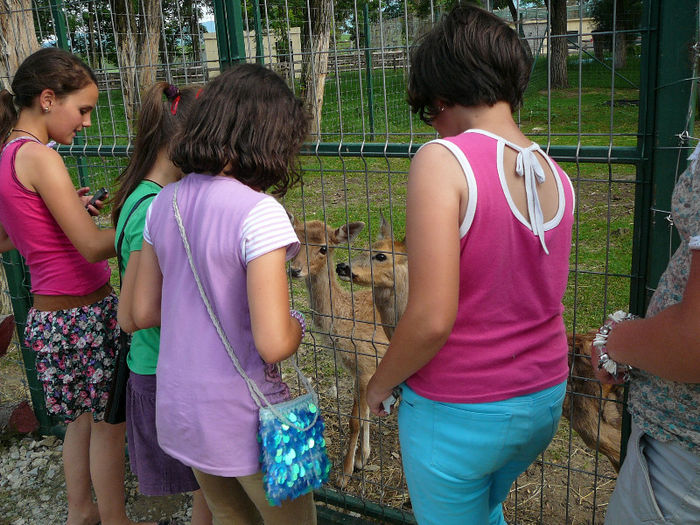 P1400591 - 2012 - Excursie_9_iunie