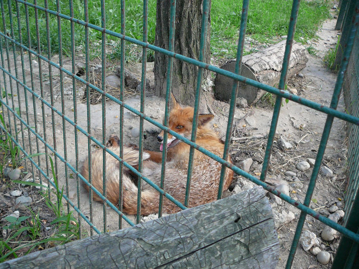 P1400604 - 2012 - Excursie_9_iunie