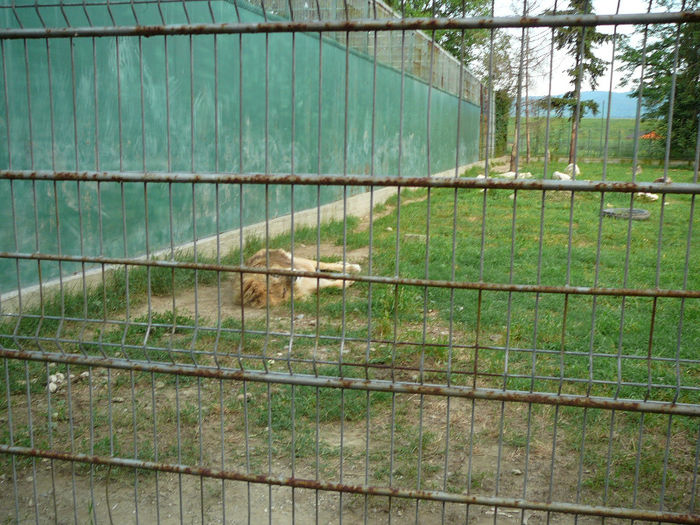 P1400618 - 2012 - Excursie_9_iunie