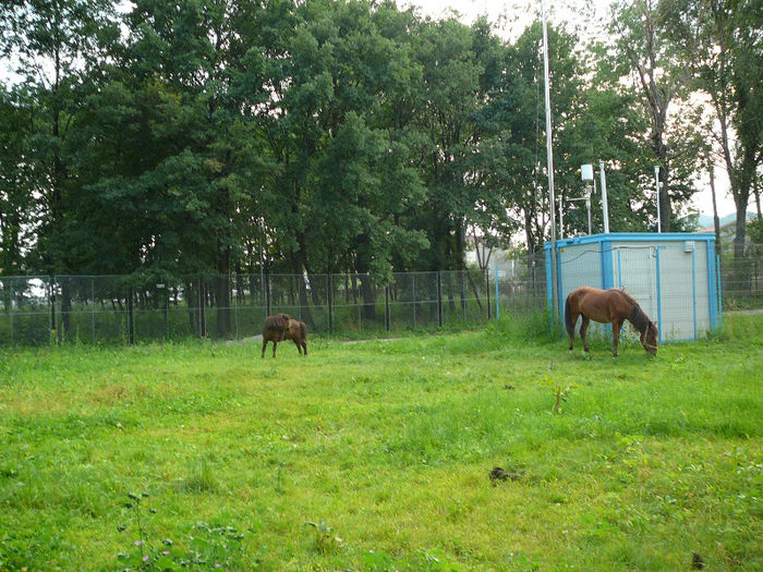 P1400622 - 2012 - Excursie_9_iunie