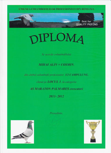 Loc 1 AS MARATON palm 2 ani crescatori - Diplome 2012