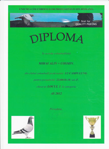 Loc 3 AS - Diplome 2012