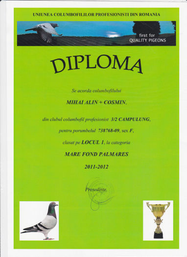 Loc 1 MARE FOND palm. 2 ani - Diplome 2012