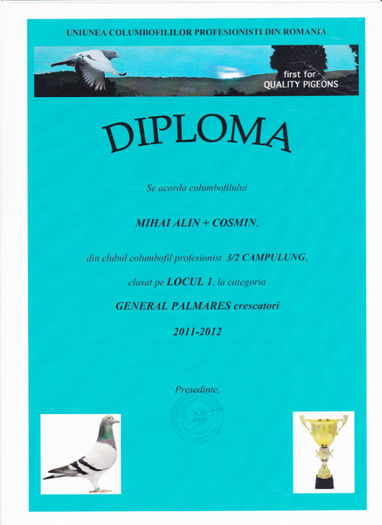 Loc 1 GENERAL  palm 2 ani crescatori - Diplome 2012