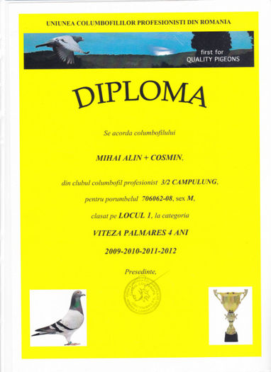 Loc 1 VITEZA palm. 4 ani - Diplome 2012