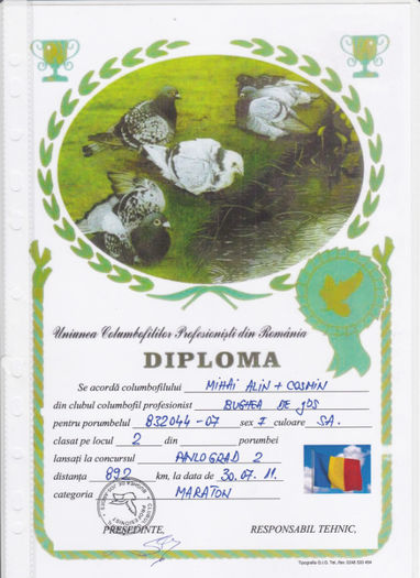 Loc 2 Pavlograd 2 - Diplome 2011