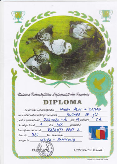 Loc 1 Radauti Prut 1 - Diplome 2011
