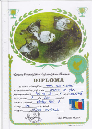  Loc 1 Radauti Prut 2 - Diplome 2011