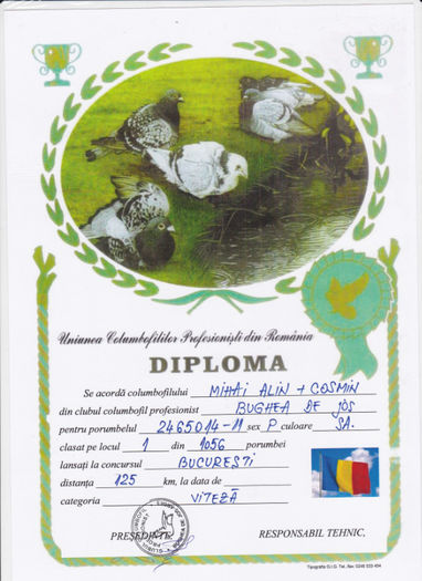 Loc 1 Bucuresti PUI - Diplome 2011