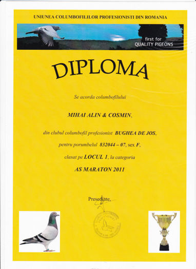 Loc 1 AS MARATON - Diplome 2011