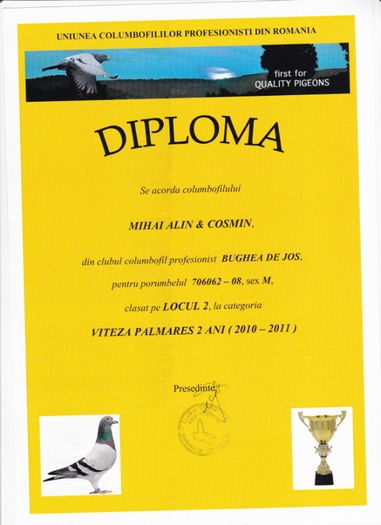 Loc 2 VITEZA palmares 2 ani - Diplome 2011