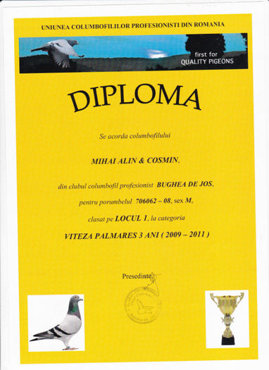  Loc 1 VITEZA palmares 3 ani - Diplome 2011