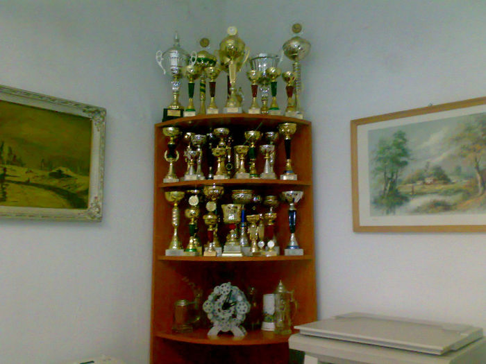 cupele lu bacalu care i-au mai ramas