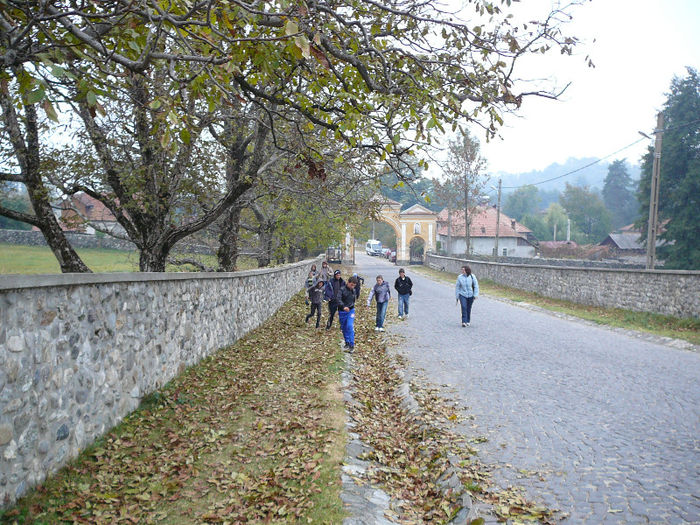 P1320296 - 2011 - Excursie_octombrie