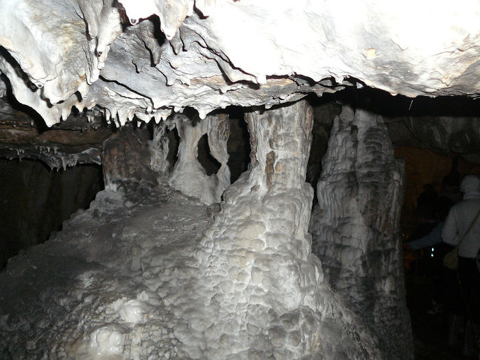 P1320348