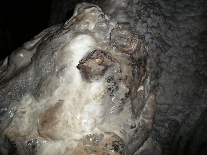 P1320349